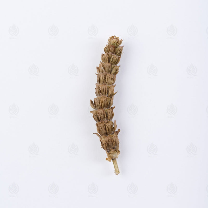 Common prunella - 夏枯草 (Xia Ku Cao), Qing Re Ming Mu 清热明目