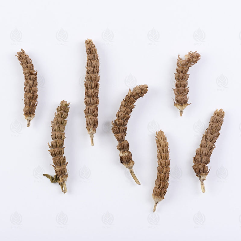 Common prunella - 夏枯草 (Xia Ku Cao), Qing Re Ming Mu 清热明目