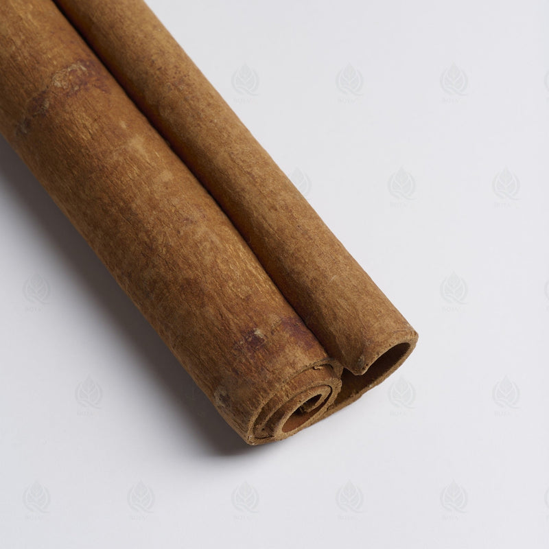 Écorce de Cannelle de Chine - 肉桂 (Rou Gui)