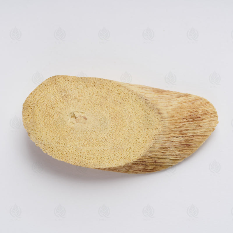 Racine de Millettia (Niu Da Li) – vue de dessus