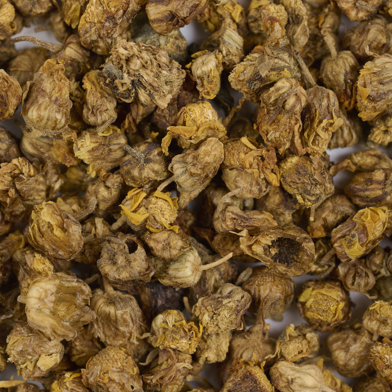 Boutons de Chrysanthème sauvage (Ye Ju Hua) – vue de dessus