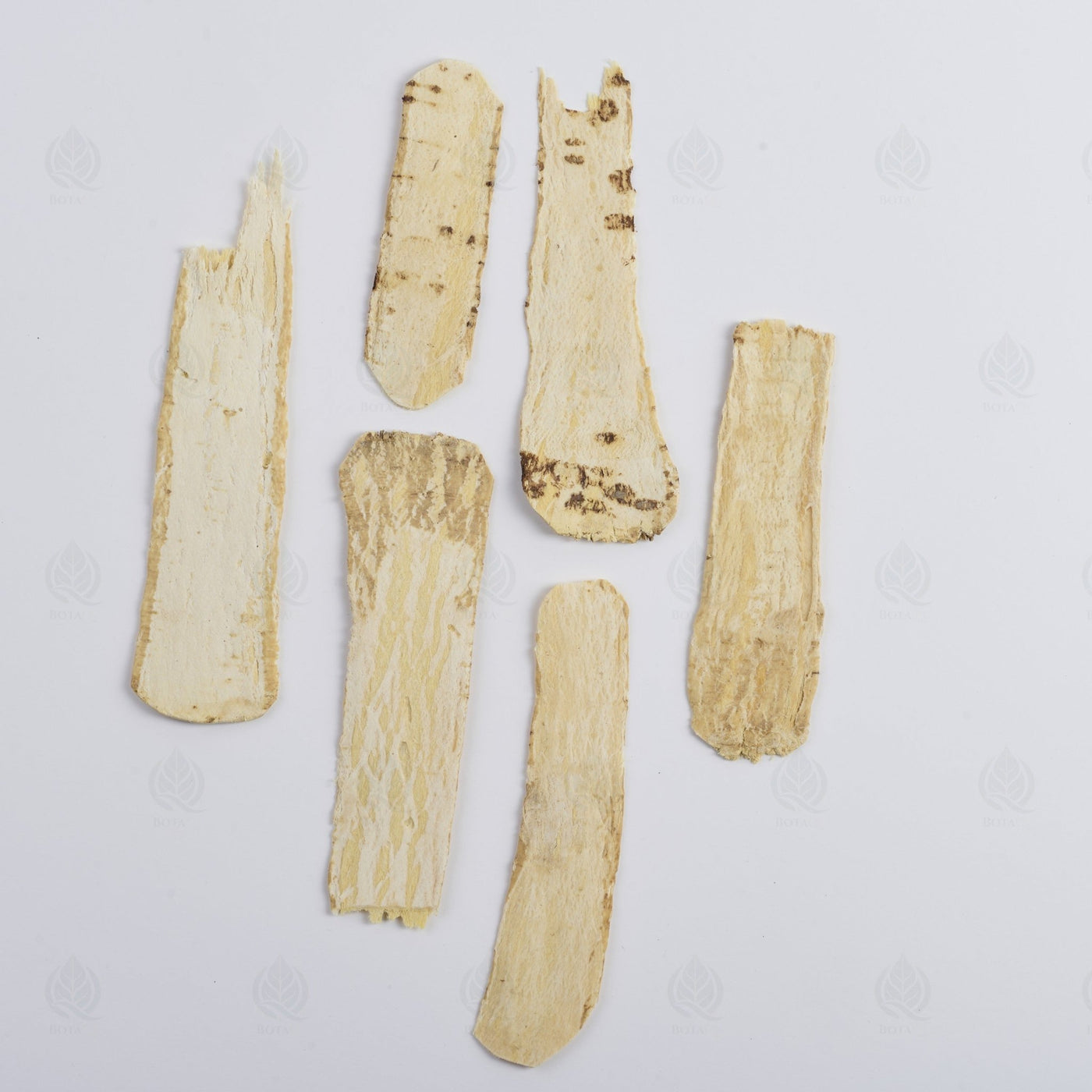 Astragale (grosses tranches) - 黄芪 (Huang Qi)