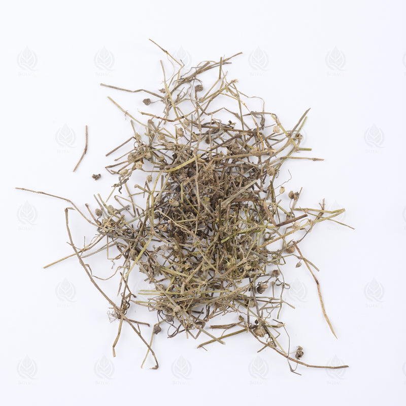 Herbe de Hédyote (Bai Hua She She Cao) – vue de dessus
