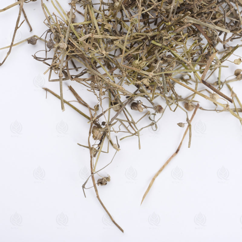 Herbe de Hédyote (Bai Hua She She Cao) – vue de dessus