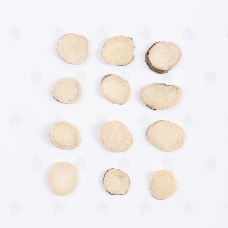 Racine de Pivoine blanche (Bai Shao) – vue de dessus