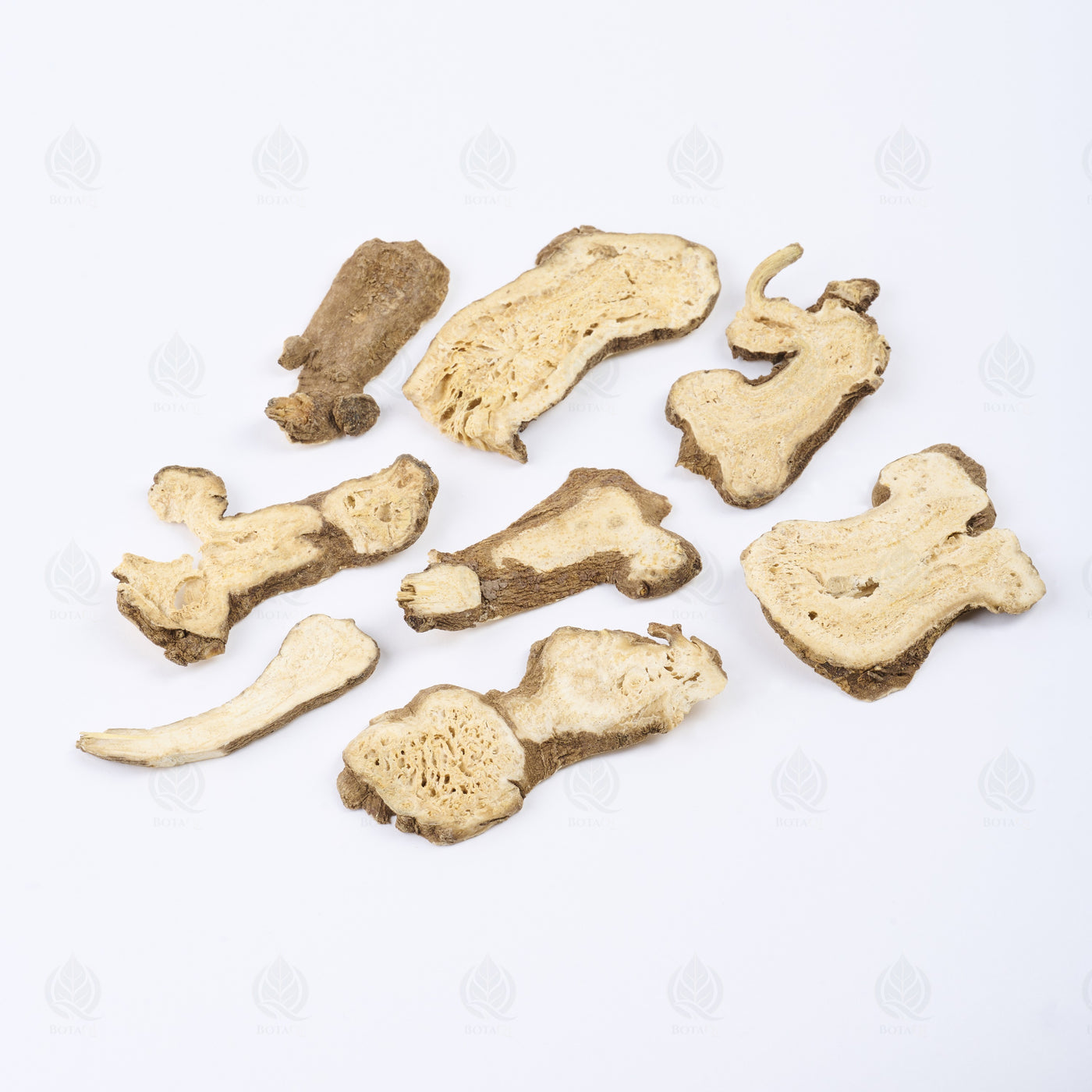 Atractylode (rhizome blanc) (Bai Zhu) – vue de côté