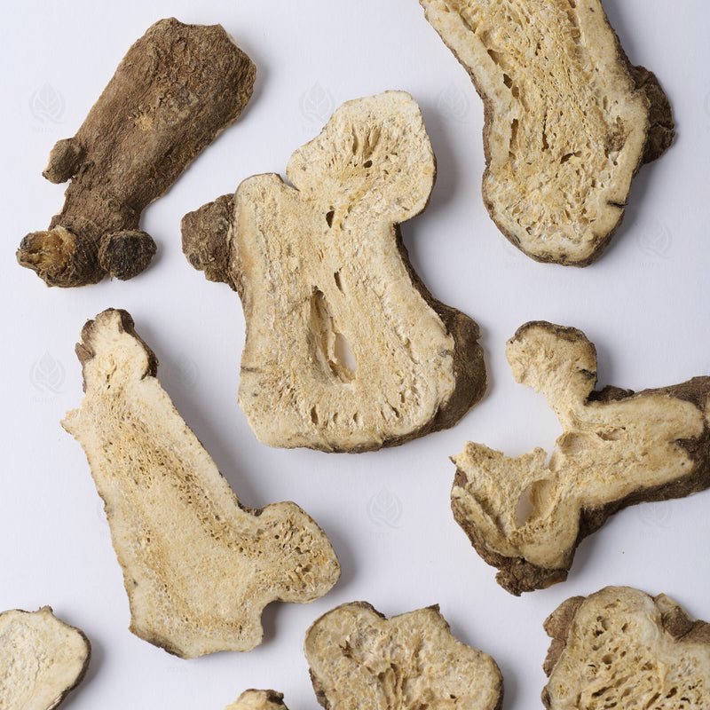 Atractylode (rhizome blanc) (Bai Zhu) – vue de dessus