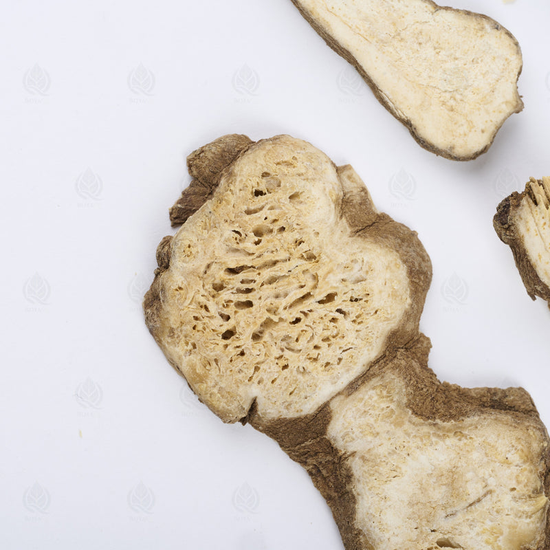 Atractylode (rhizome blanc) (Bai Zhu) – vue de dessus
