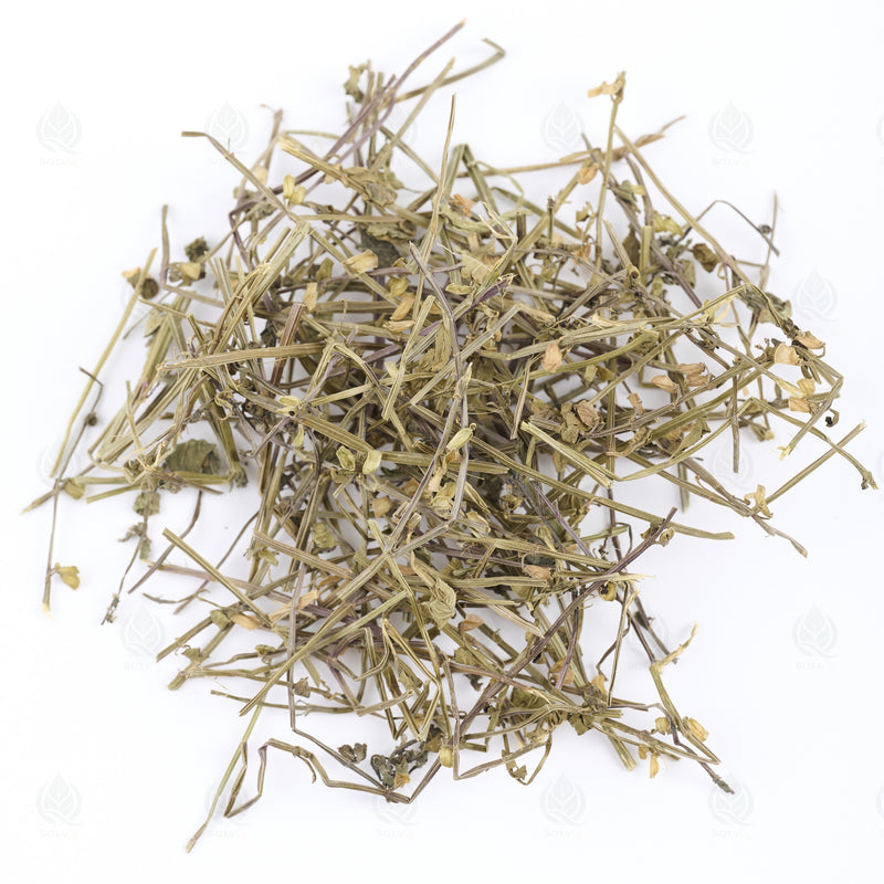 Scutellaire barbue (Ban Zhi Lian) – vue de dessus