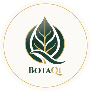 BotaQi