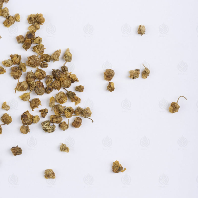 Wild chrysanthemum buds - 野菊花 (Ye Ju Hua), Qing Re 清热