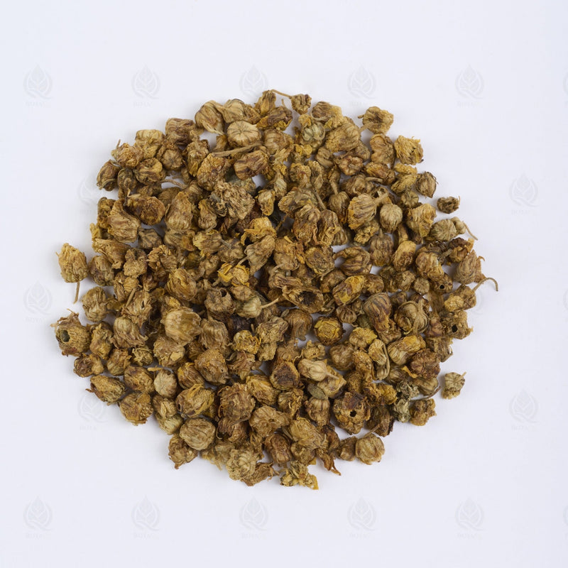 Wild chrysanthemum buds - 野菊花 (Ye Ju Hua), Qing Re 清热