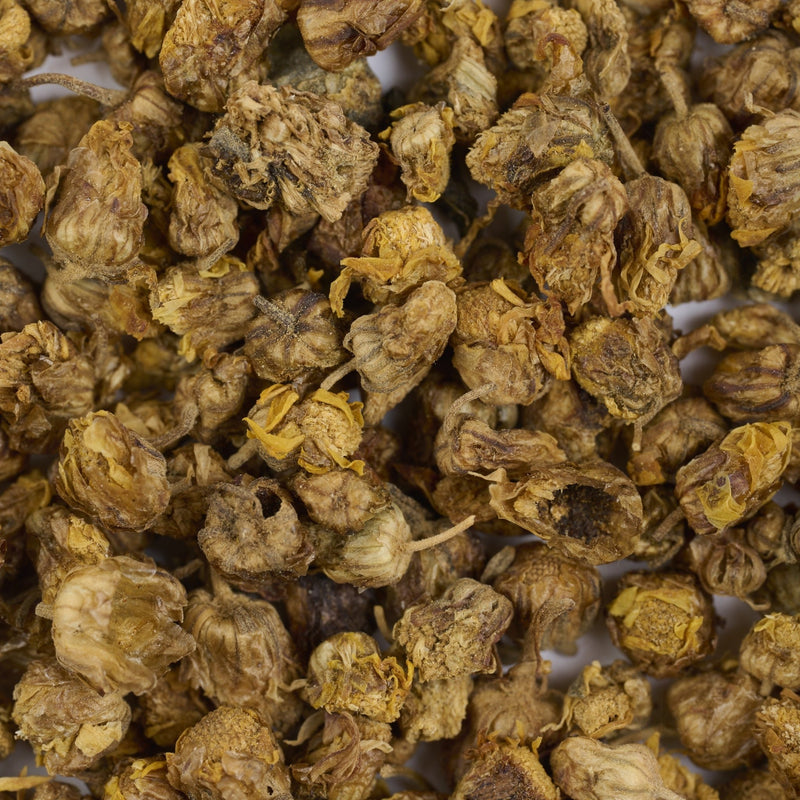 Wild chrysanthemum buds - 野菊花 (Ye Ju Hua), Qing Re 清热