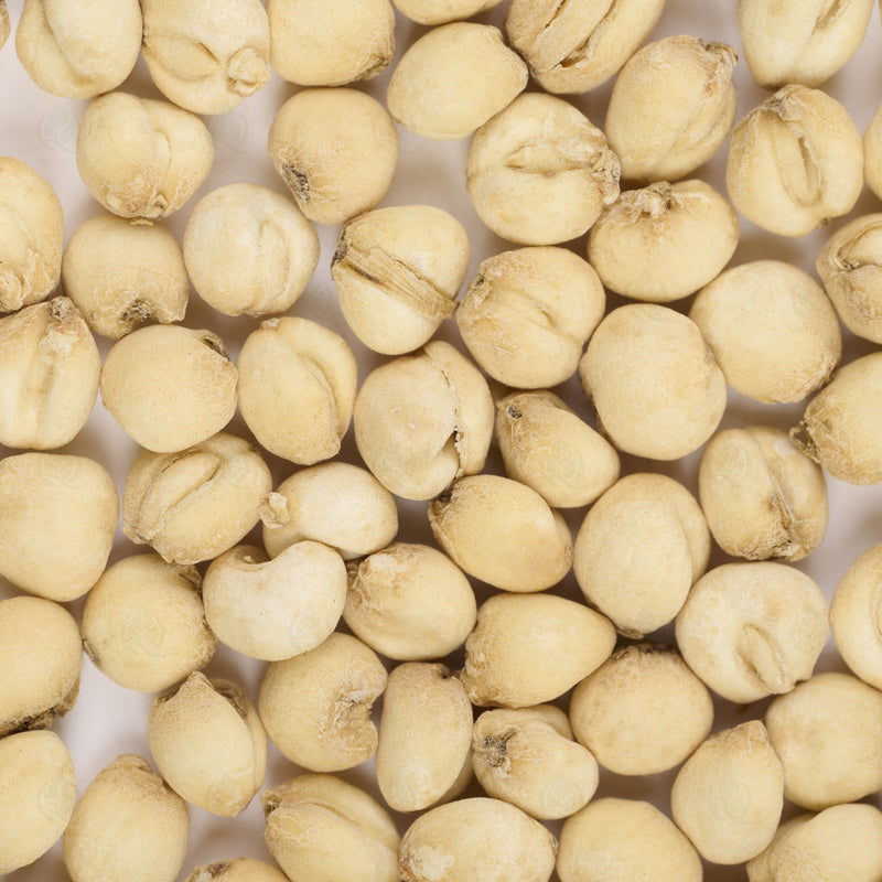 Bulbe de Fritillaire du Sichuan (Chuan Bei Mu) – vue de dessus