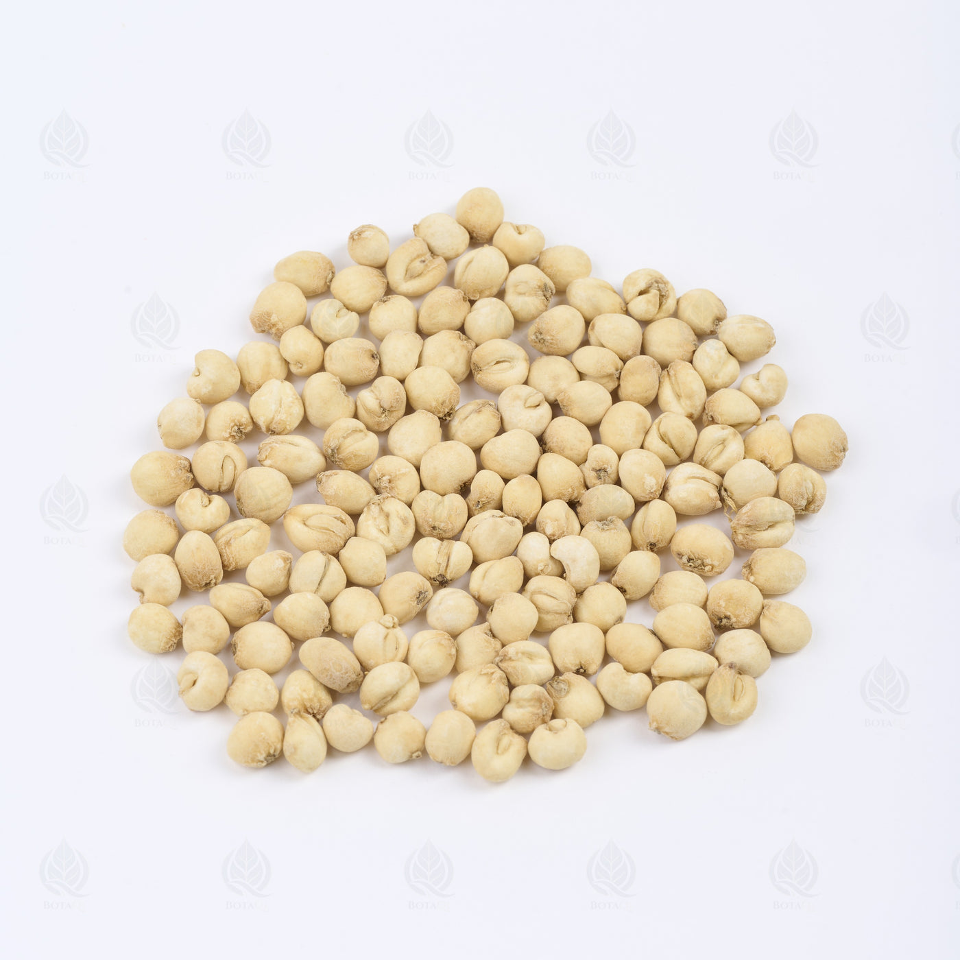 Bulbe de Fritillaire du Sichuan (Chuan Bei Mu) – vue de dessus