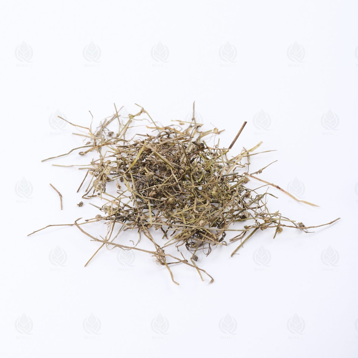 Herbe de Hédyote - 白花蛇舌草 (Bai Hua She She Cao)