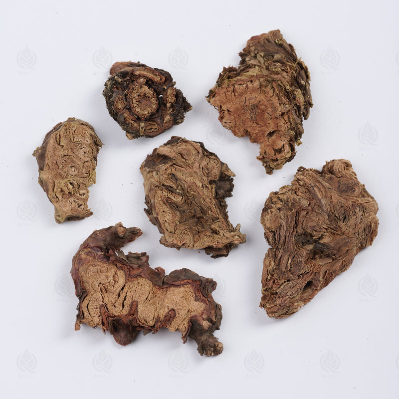 Rhodiola du Tibet (Hong Jing Tian) – vue de dessus