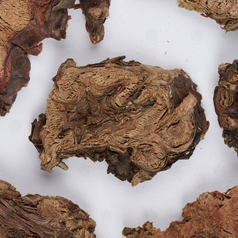 Rhodiola du Tibet (Hong Jing Tian) – vue de dessus