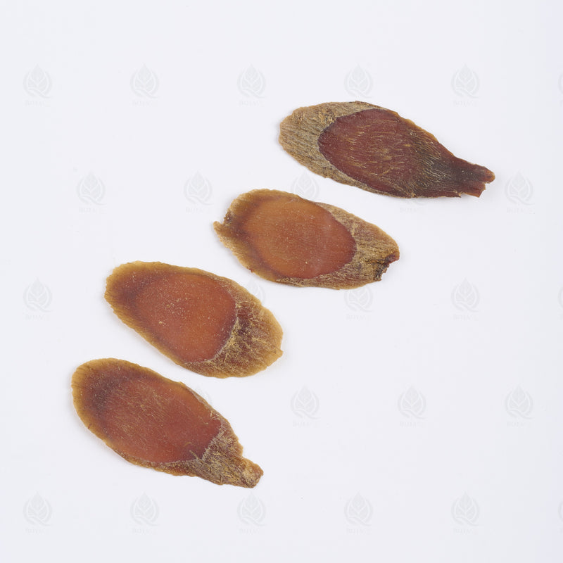 Ginseng Coréen Rouge (racine entière) (Hong Ren Shen) – vue de côté