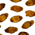 Ginseng Coréen Rouge (racine entière) (Hong Ren Shen) – vue de dessus