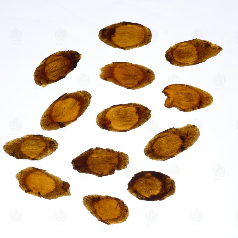 Ginseng Coréen Rouge (racine entière) (Hong Ren Shen) – vue de dessus