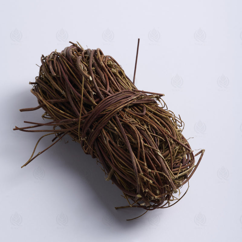 Chapelet de Canton (Abrus) (Ji Gu Cao) – vue de côté