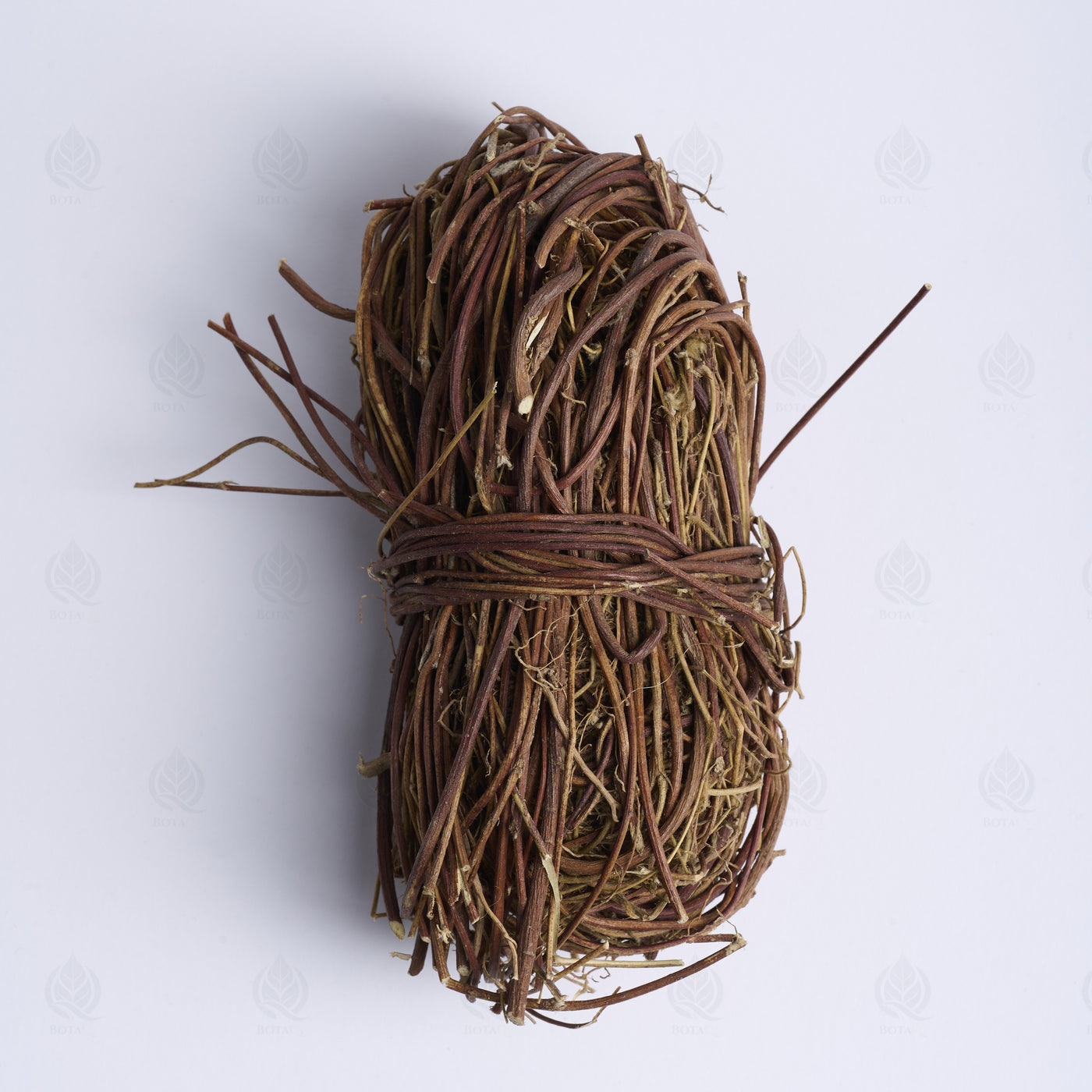 Chapelet de Canton (Abrus) (Ji Gu Cao) – vue de dessus