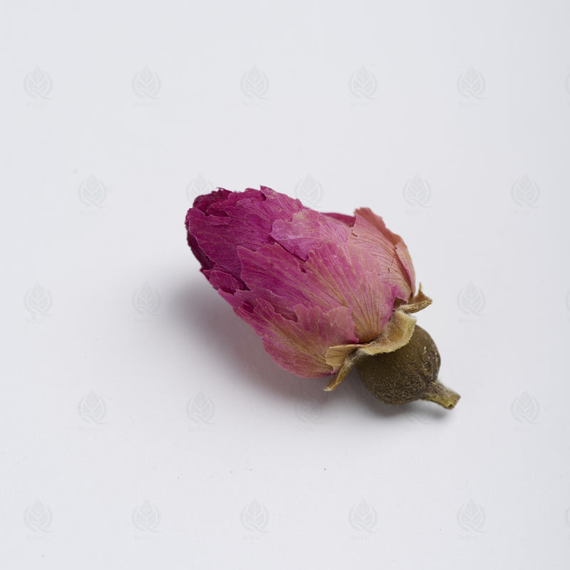 Boutons de Rose (Mei Gui Hua) – vue de côté