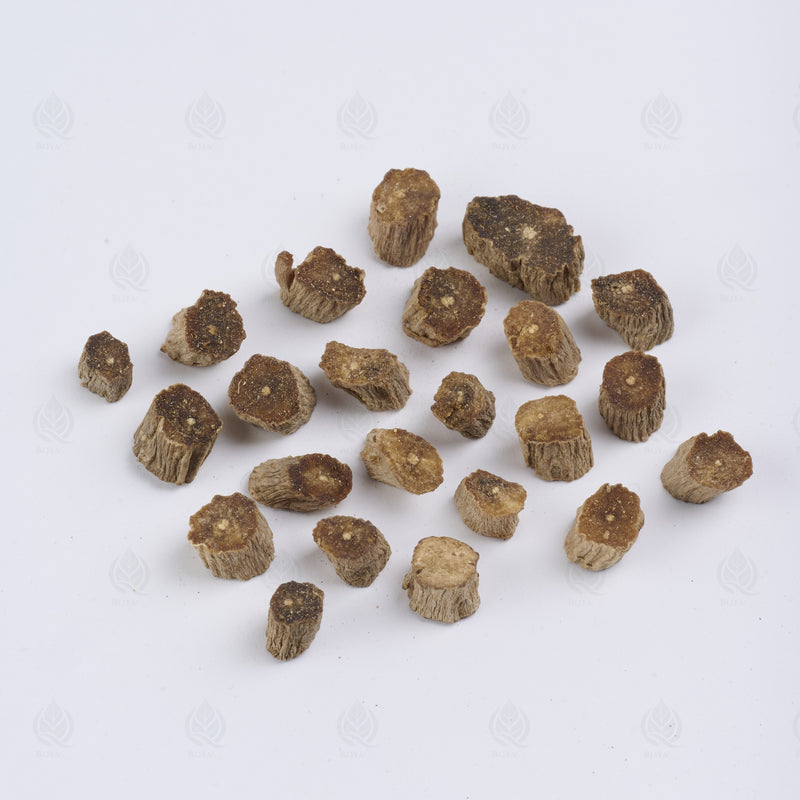 Racine d’Achyranthes (Huai Niu Xi) (Huai Niu Xi) – vue de côté