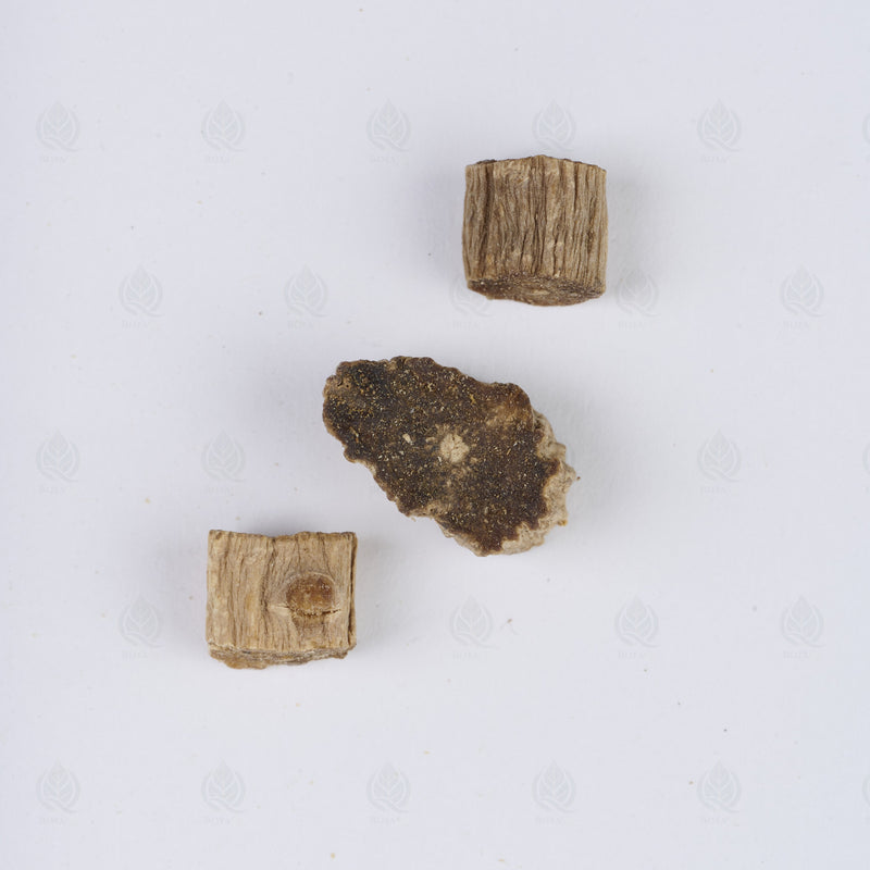Racine d’Achyranthes (Huai Niu Xi) (Huai Niu Xi) – vue de dessus