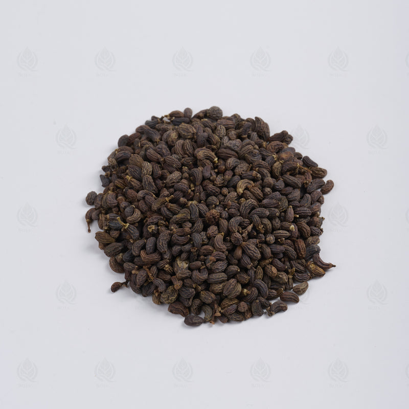 Fruit du Troène de Chine (Nu Zhen Zi) – vue de côté
