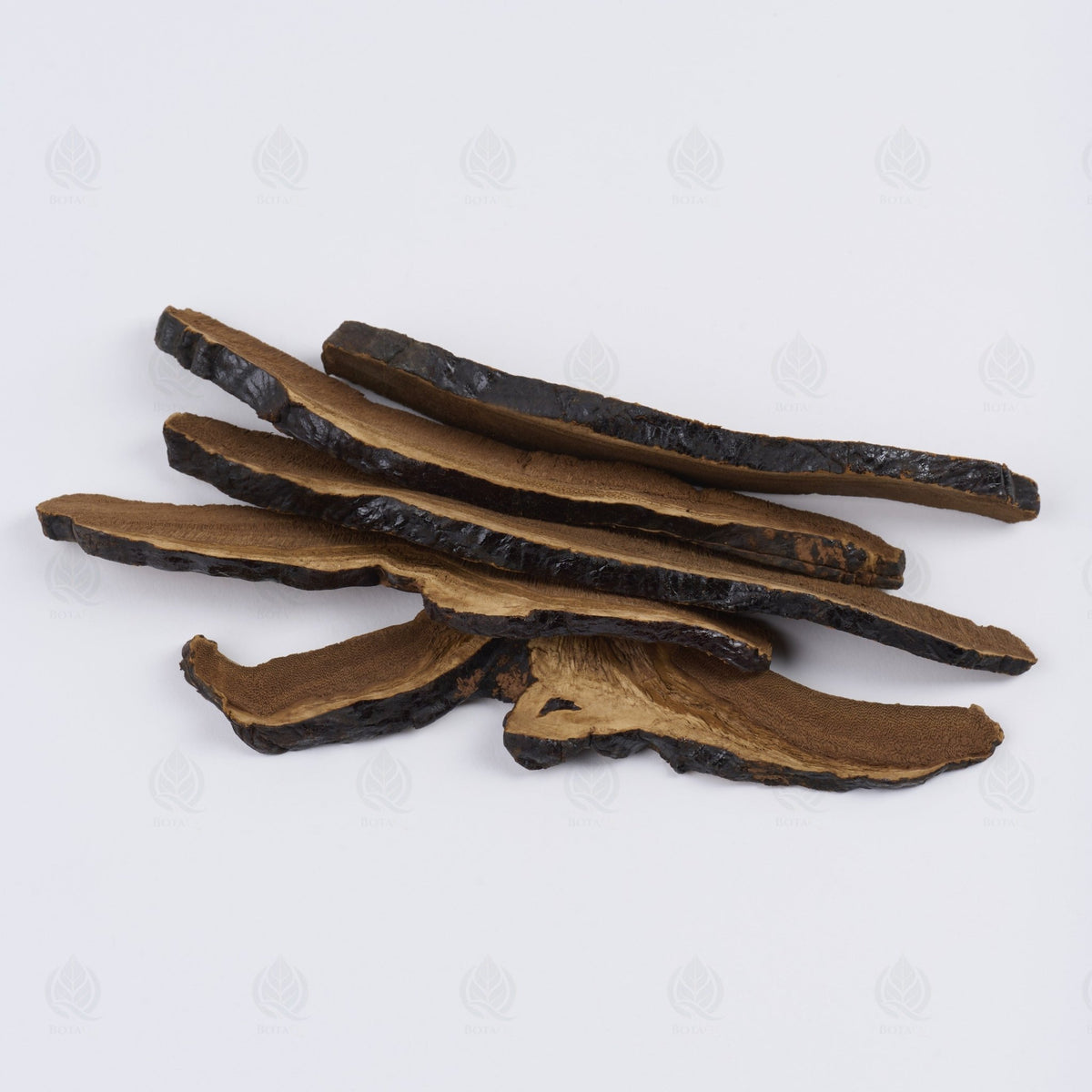 Reishi (Ganoderme luisant) - 灵芝 (Ling Zhi)