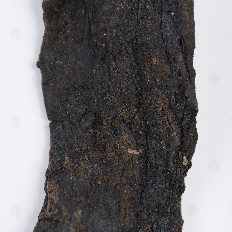 Cistanche (Rou Cong Rong) – vue de dessus