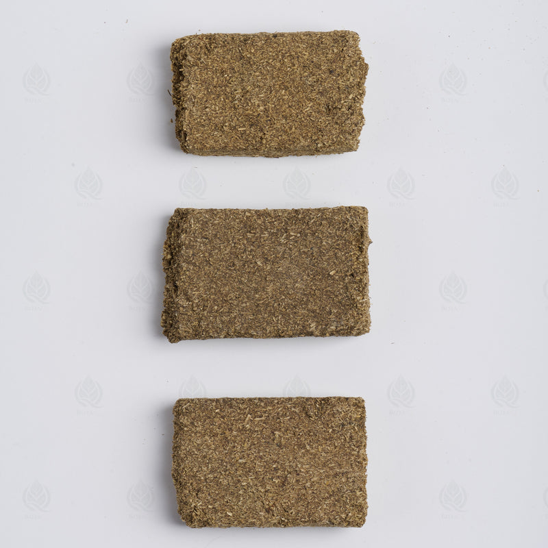 Masse fermentée traditionnelle (Shen Qu) – vue de dessus