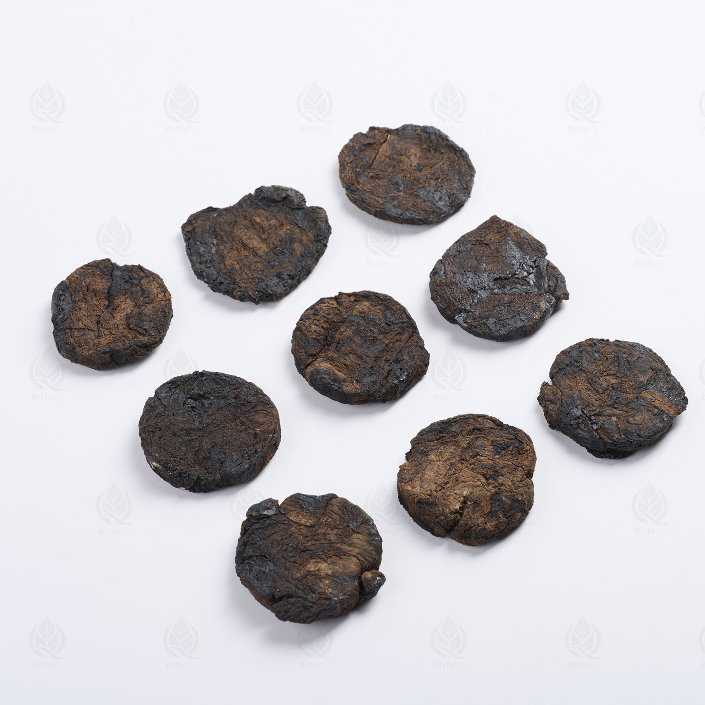 Racine de Rehmannia (fraîche/crue) (Sheng Di Huang) – vue de côté