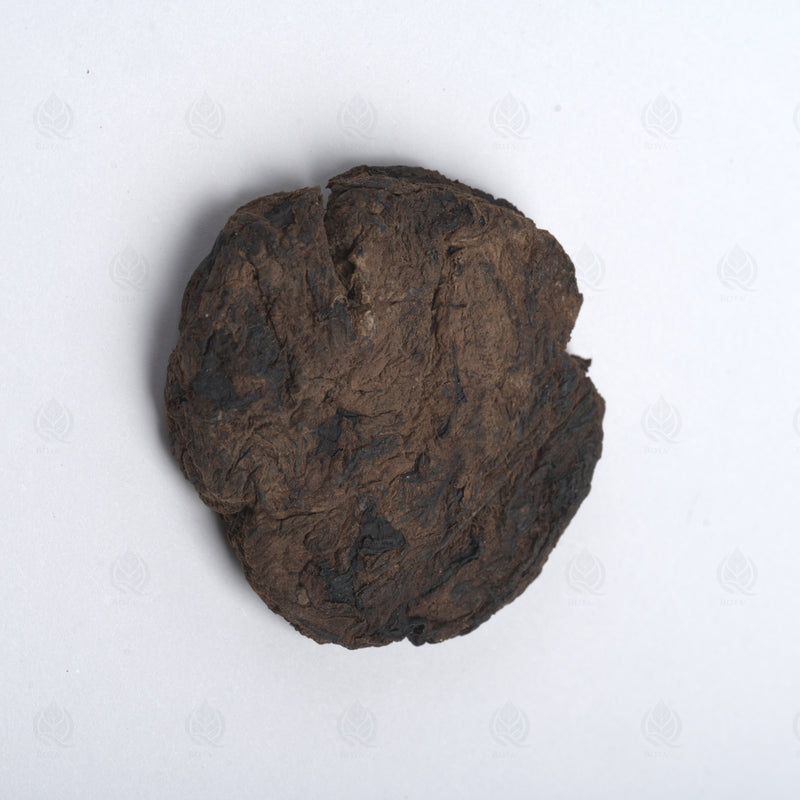 Racine de Rehmannia (fraîche/crue) (Sheng Di Huang) – vue de dessus