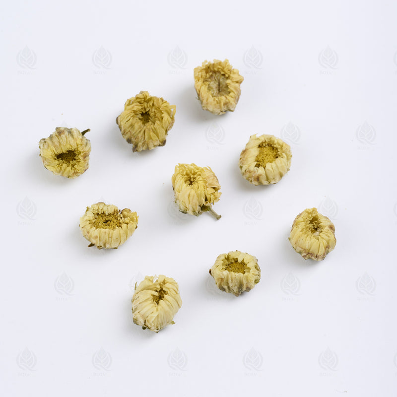Boutons de Chrysanthème (gros) (Tai Ju Hua) – vue de côté