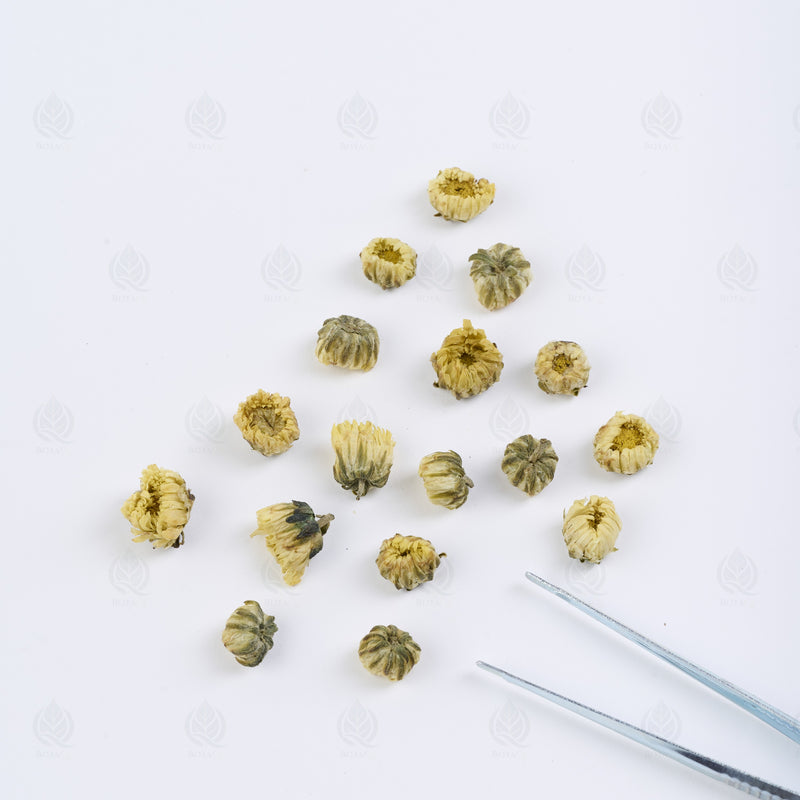 Boutons de Chrysanthème (gros) (Tai Ju Hua) – vue de côté