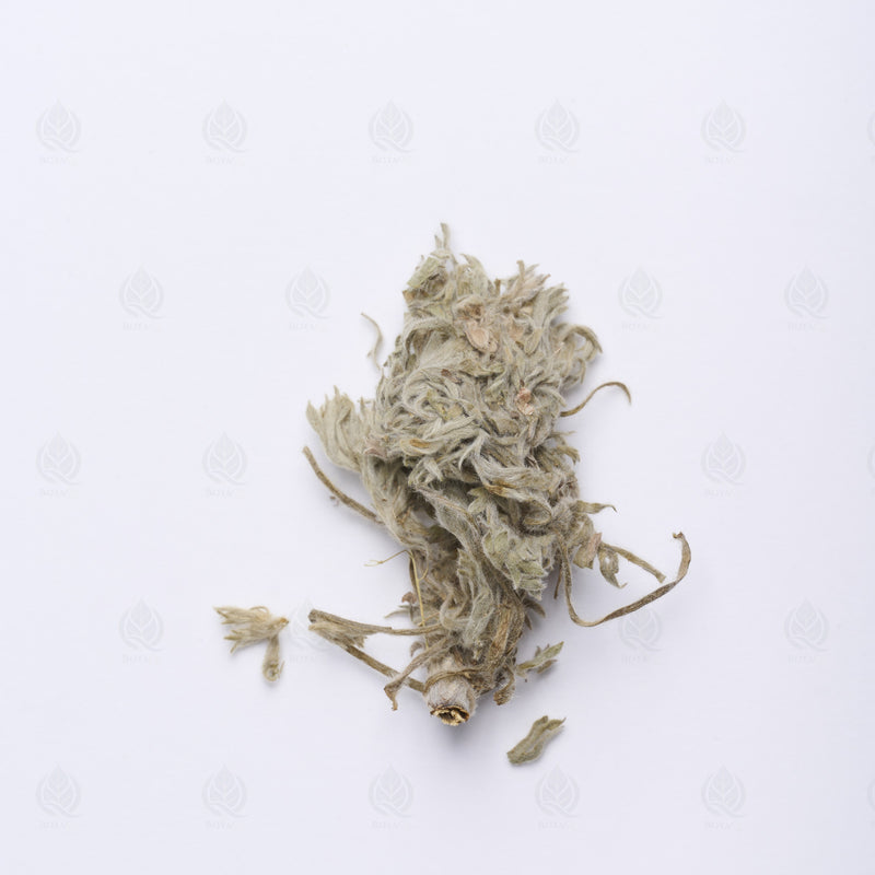Armoise capillaire (Yin Chen Hao) – vue de dessus